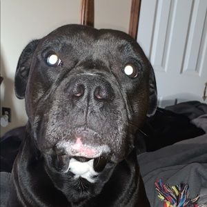 Meet your Posher, Steven